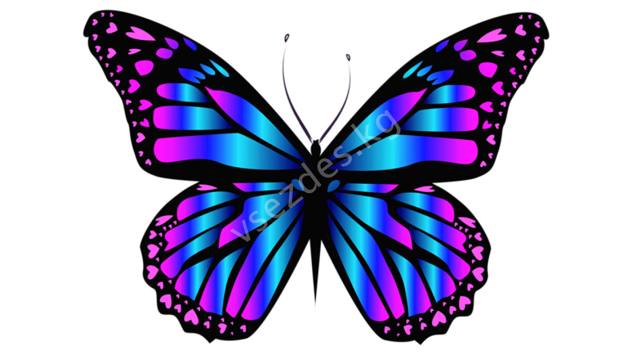 BMW 3.18 Sıfır Bayandan